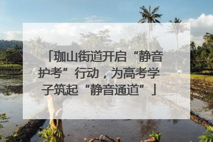 珈山街道开启“静音护考”行动，为高考学子筑起“静音通道”