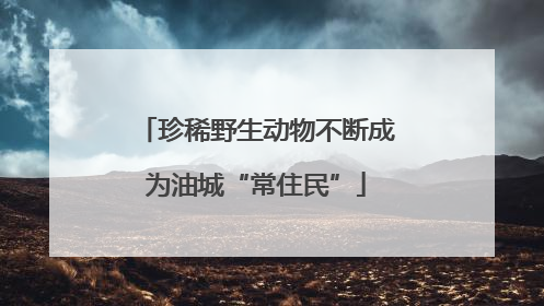 珍稀野生动物不断成为油城“常住民”