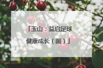 玉山：益启足球 健康成长（图）