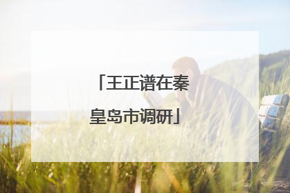 王正谱在秦皇岛市调研