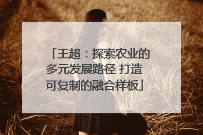 王超：探索农业的多元发展路径 打造可复制的融合样板