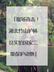 现场直击！湖北竹山护林员实拍国家二级保护动物