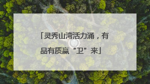 灵秀山湾活力涌，有品有质赢“卫”来