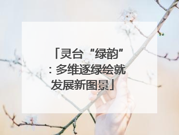灵台“绿韵”：多维逐绿绘就发展新图景