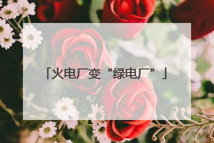 火电厂变“绿电厂”