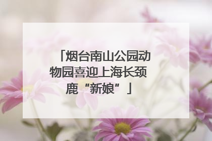 烟台南山公园动物园喜迎上海长颈鹿“新娘”