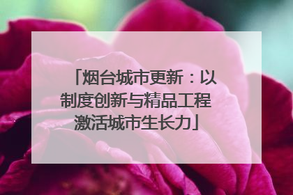 烟台城市更新：以制度创新与精品工程激活城市生长力