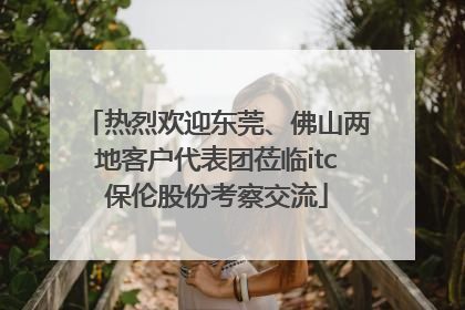 热烈欢迎东莞、佛山两地客户代表团莅临itc保伦股份考察交流