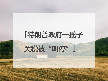特朗普政府一揽子关税被“叫停”