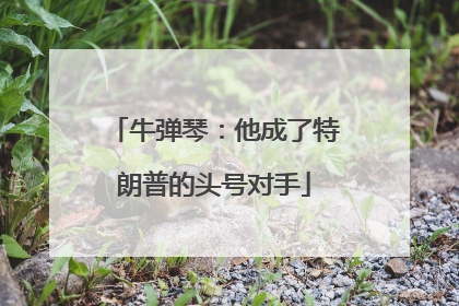 牛弹琴：他成了特朗普的头号对手