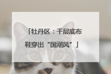 牡丹区：千层底布鞋穿出“国潮风”