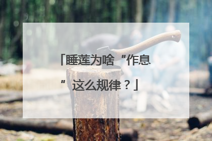 睡莲为啥“作息”这么规律？