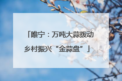 睢宁：万吨大蒜拨动乡村振兴“金蒜盘”