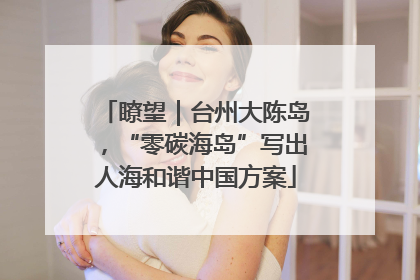 瞭望｜台州大陈岛，“零碳海岛”写出人海和谐中国方案