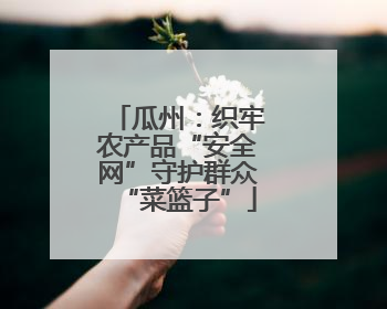 瓜州：织牢农产品“安全网”守护群众“菜篮子”