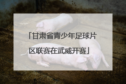 甘肃省青少年足球片区联赛在武威开赛