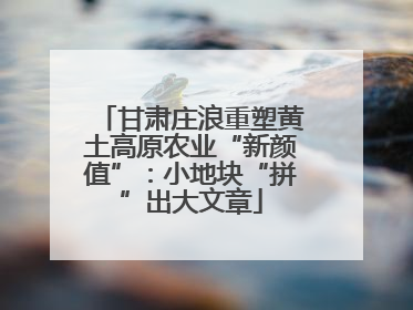 甘肃庄浪重塑黄土高原农业“新颜值”：小地块“拼”出大文章