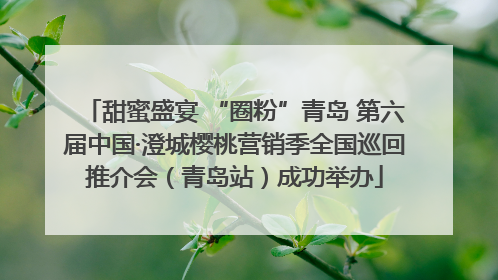 甜蜜盛宴 “圈粉”青岛 第六届中国·澄城樱桃营销季全国巡回推介会（青岛站）成功举办