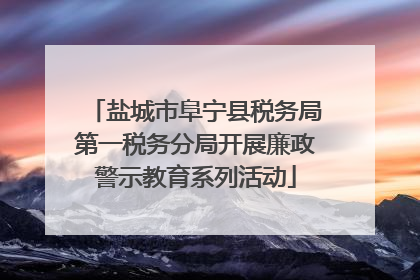 盐城市阜宁县税务局第一税务分局开展廉政警示教育系列活动