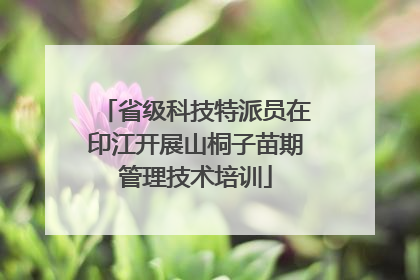 省级科技特派员在印江开展山桐子苗期管理技术培训