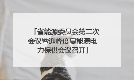 省能源委员会第二次会议暨迎峰度夏能源电力保供会议召开