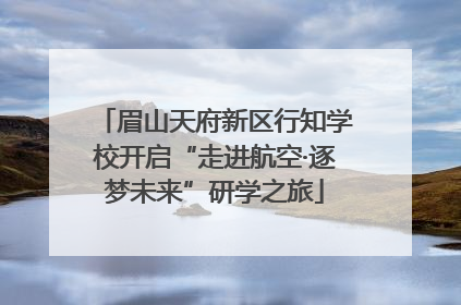 眉山天府新区行知学校开启“走进航空·逐梦未来”研学之旅