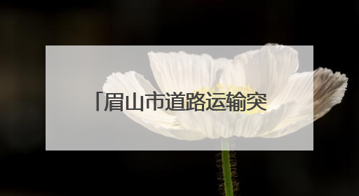 眉山市道路运输突出问题排查整治工作专题会议召开