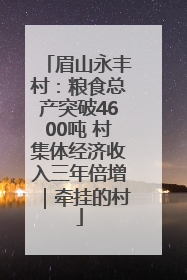 眉山永丰村：粮食总产突破4600吨 村集体经济收入三年倍增｜牵挂的村