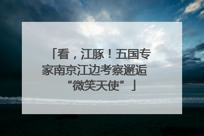 看，江豚！五国专家南京江边考察邂逅“微笑天使”