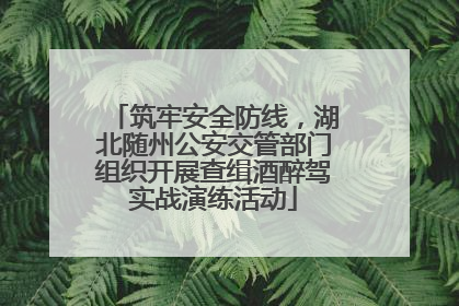 筑牢安全防线，湖北随州公安交管部门组织开展查缉酒醉驾实战演练活动