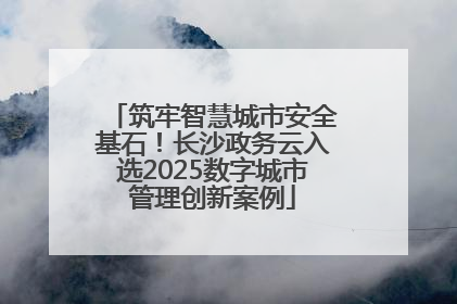 筑牢智慧城市安全基石！长沙政务云入选2025数字城市管理创新案例