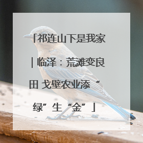祁连山下是我家｜临泽：荒滩变良田 戈壁农业添“绿”生“金”