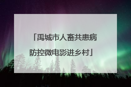 禹城市人畜共患病防控微电影进乡村