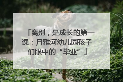 离别，是成长的第一课：月雅河幼儿园孩子们眼中的“毕业”