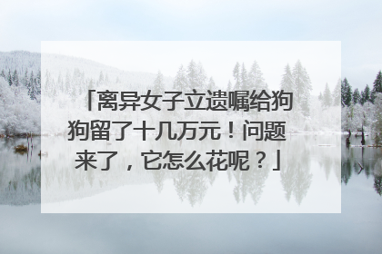 离异女子立遗嘱给狗狗留了十几万元！问题来了，它怎么花呢？