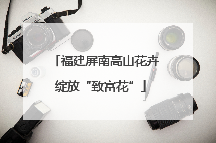 福建屏南高山花卉绽放“致富花”