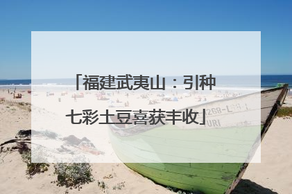 福建武夷山：引种七彩土豆喜获丰收