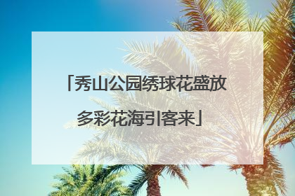 秀山公园绣球花盛放 多彩花海引客来