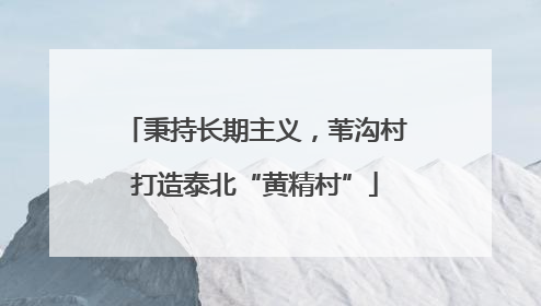 秉持长期主义，苇沟村打造泰北“黄精村”