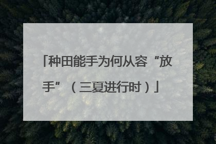 种田能手为何从容“放手”（三夏进行时）