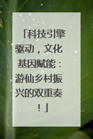 科技引擎驱动，文化基因赋能：游仙乡村振兴的双重奏！