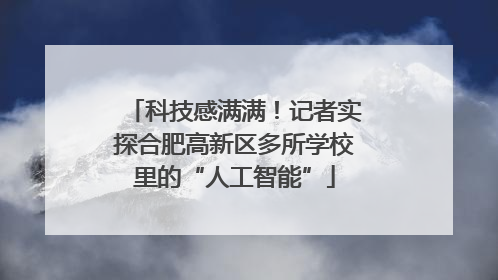 科技感满满！记者实探合肥高新区多所学校里的“人工智能”
