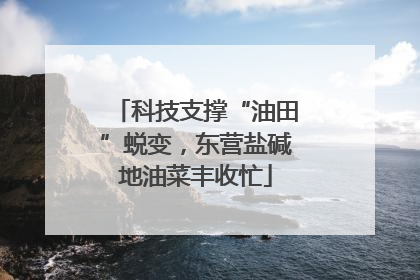 科技支撑“油田”蜕变，东营盐碱地油菜丰收忙