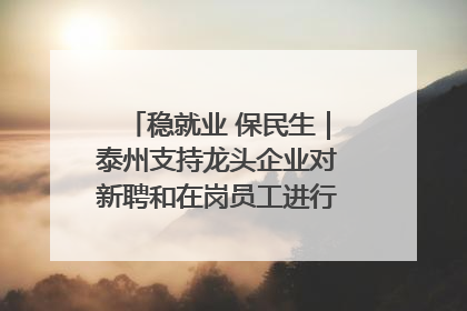 稳就业 保民生｜泰州支持龙头企业对新聘和在岗员工进行实训——到岗就能用 用了就见效