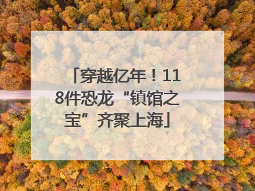 穿越亿年！118件恐龙“镇馆之宝”齐聚上海