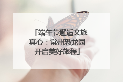 端午节邂逅文旅真心：常州恐龙园开启美好旅程