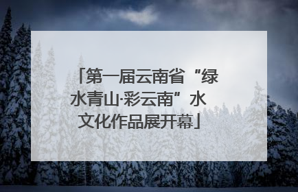 第一届云南省“绿水青山·彩云南”水文化作品展开幕