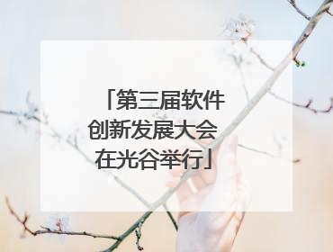 第三届软件创新发展大会在光谷举行