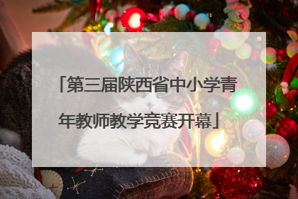 第三届陕西省中小学青年教师教学竞赛开幕