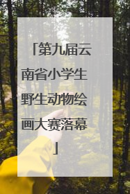 第九届云南省小学生野生动物绘画大赛落幕
